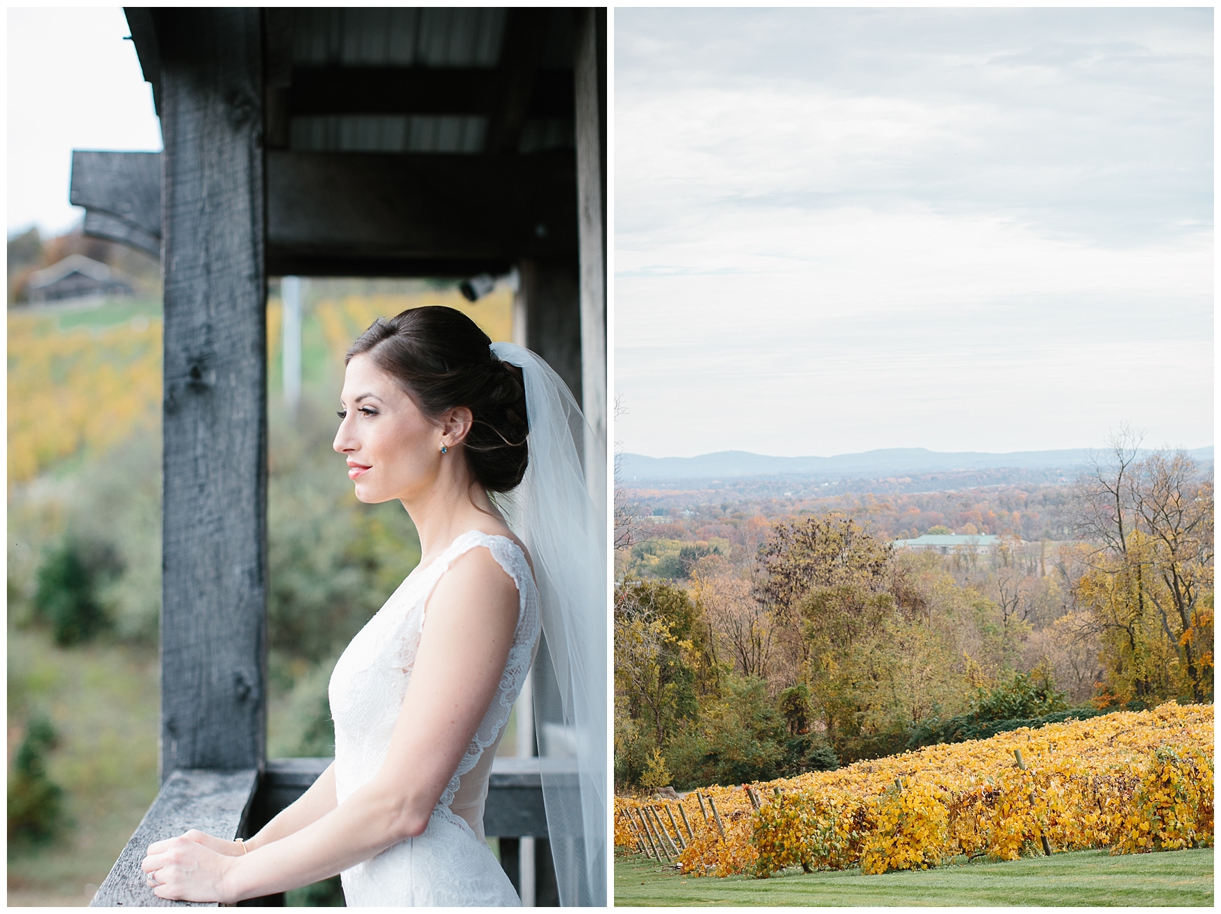 NormanPhotoPaper_GartlandFranks_0011.jpg NormanPhotoPaper_GartlandFranks_0011.jpg