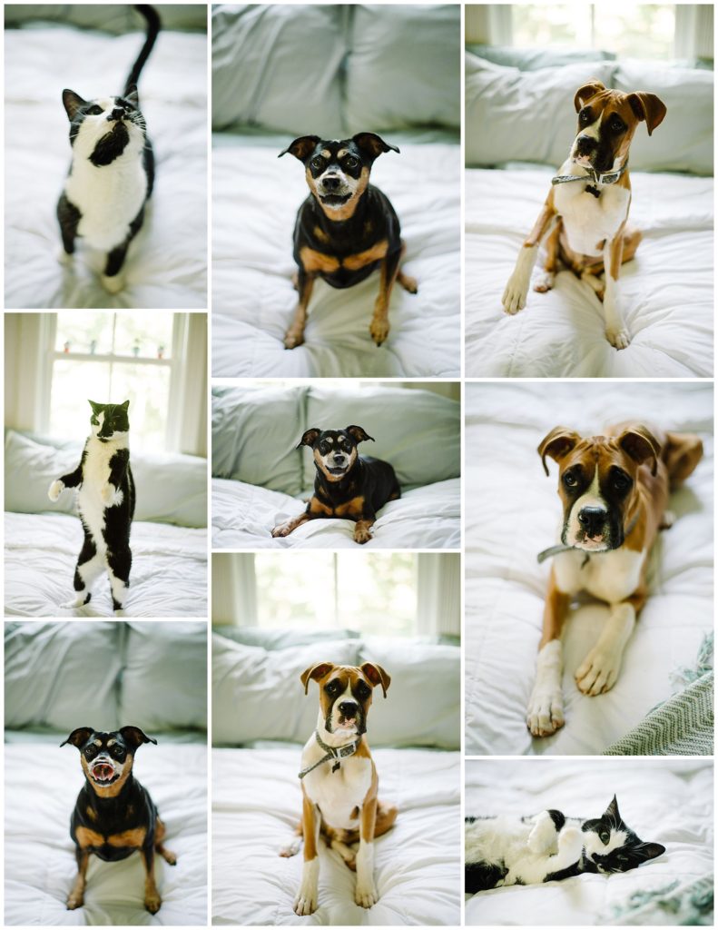 NormanPhotoPaper_VirginiaWeddingphotographer_001