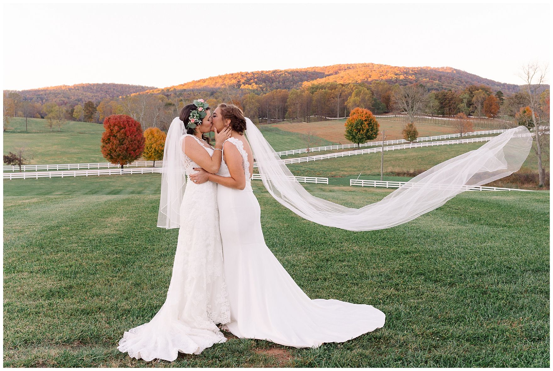 NormanPhotoPaper_Blush_Nude_Palette_Charlottesville_Virginia_Wedding_Photographer_Krysta_Norman_0044.jpg