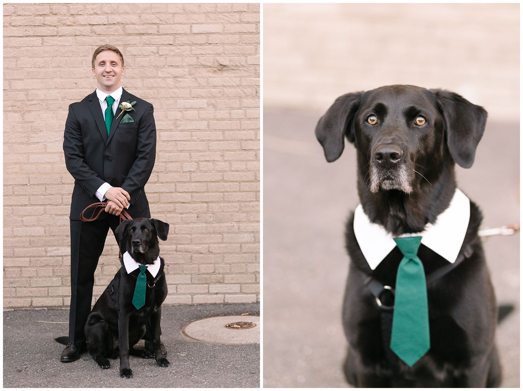NormanPhotoPaper_Hunter_Green_Gold_Ballroom_Wedding_Virginia_Wedding_Photographer_Krysta_Norman_0024.jpg NormanPhotoPaper_Hunter_Green_Gold_Ballroom_Wedding_Virginia_Wedding_Photographer_Krysta_Norman_0024.jpg