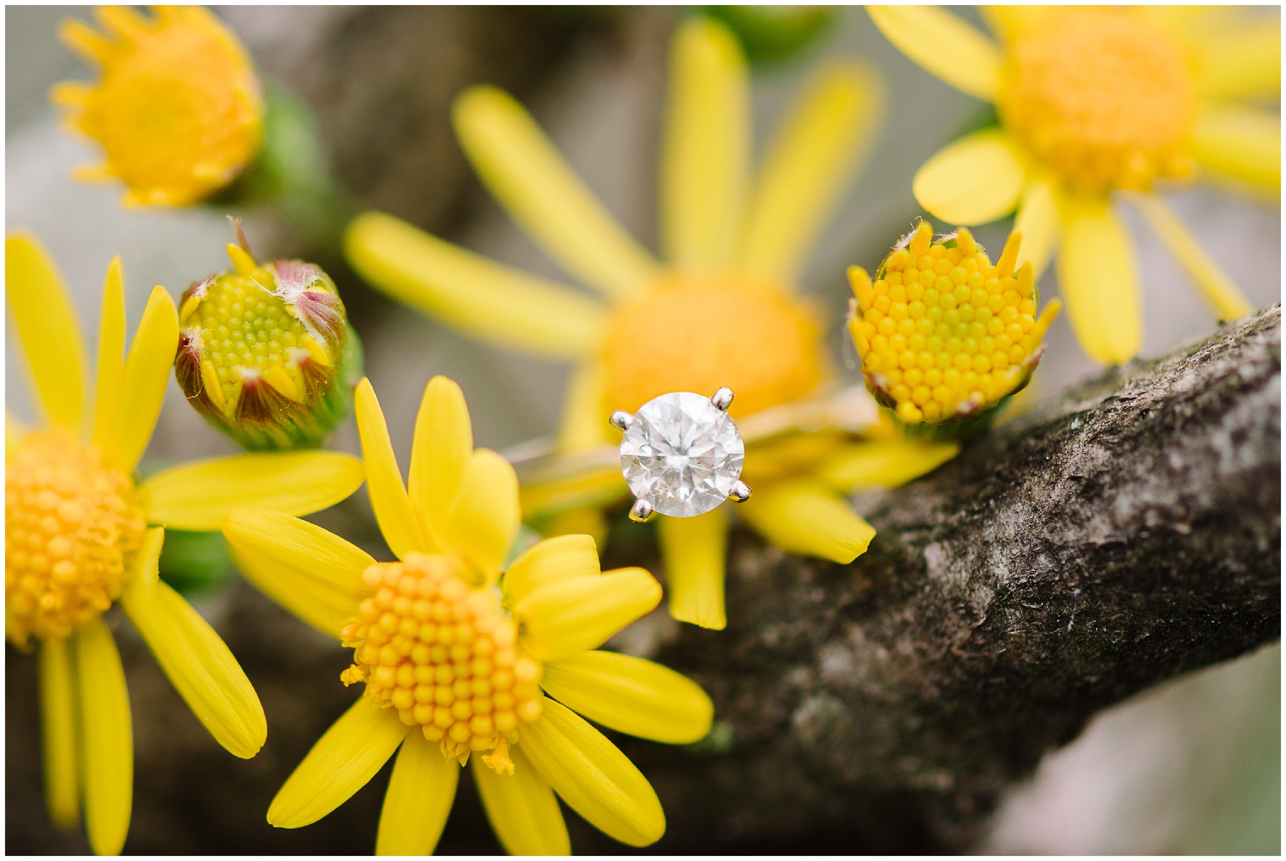 NormanPhotoPaper_Virginia_Engagement_Photographer_Krysta_Norman_0018.jpg