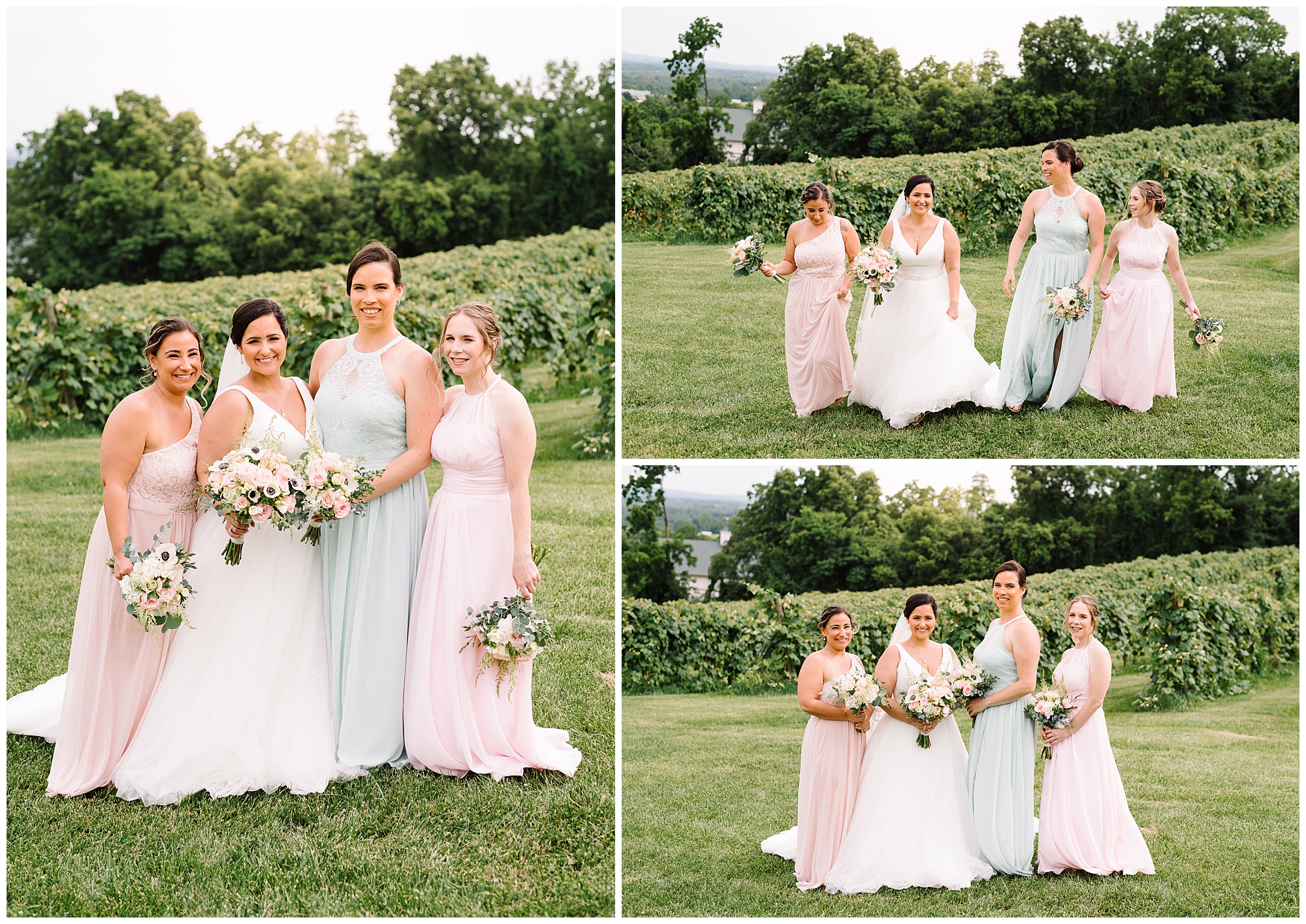 KrystaNormanPhoto_Bluemont_Vineyard_Summer_Wedding_Bluemont_Virginia_0009.jpg