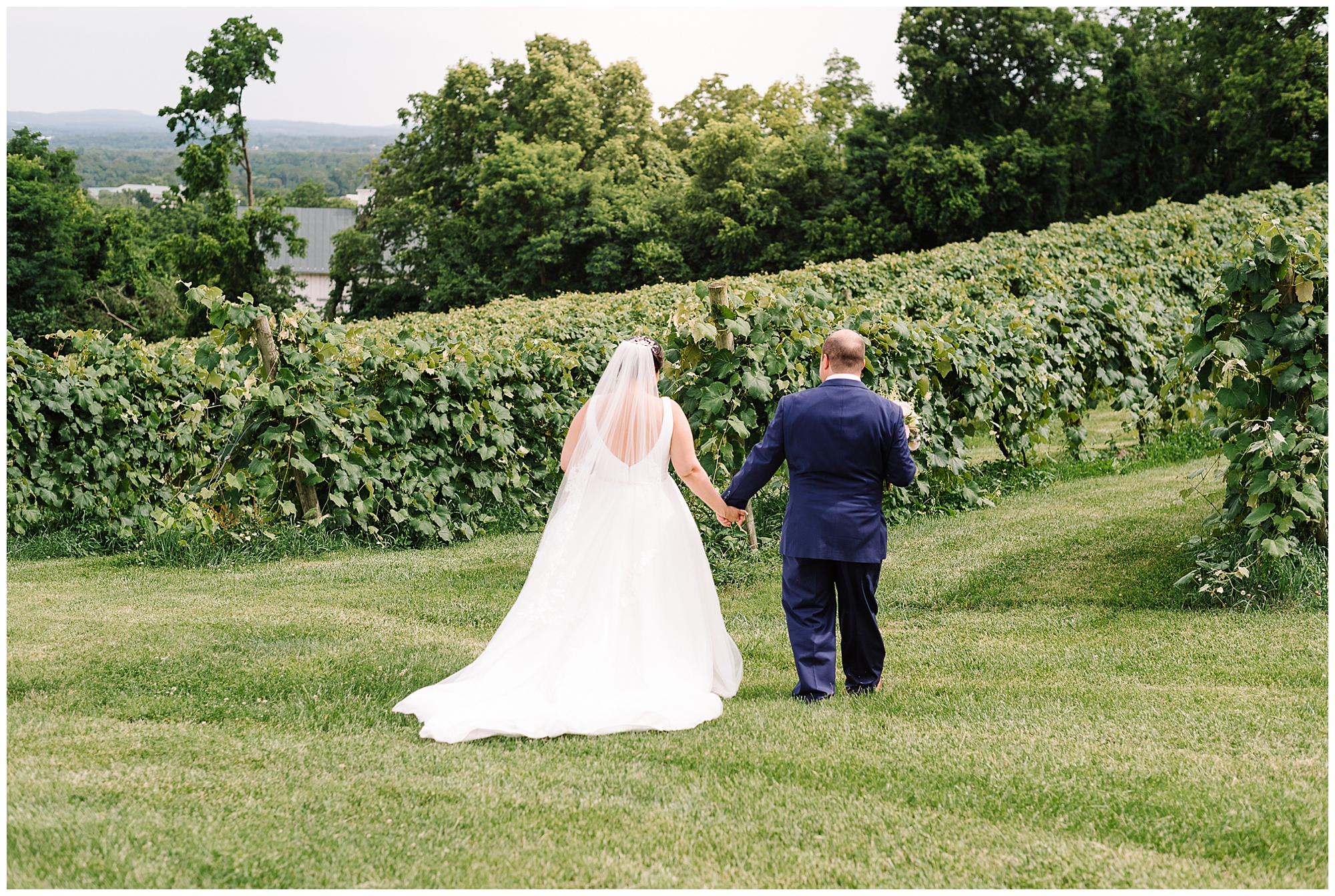 KrystaNormanPhoto_Bluemont_Vineyard_Summer_Wedding_Bluemont_Virginia_0022.jpg