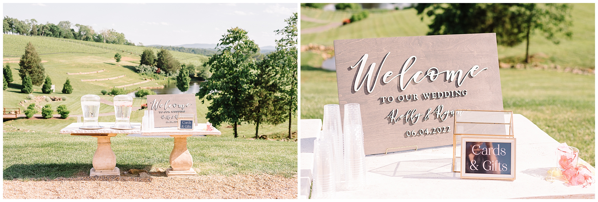 KrystaNormanPhoto_Summer_Stone_Tower_Winery Wedding_Leesburg_Virginia_Photographer_Krysta_Norman_0027.jpg